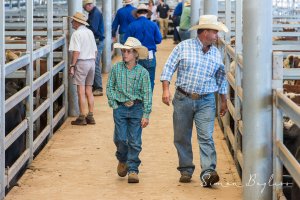 Mixed Weaners Annual Sales at NVLX